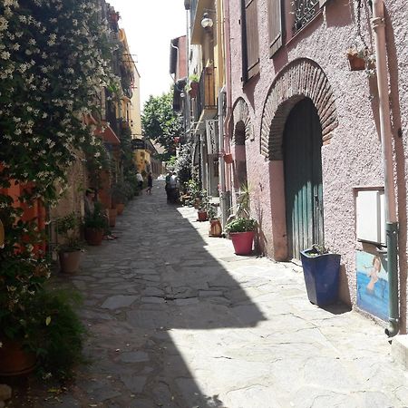 Mas Des Criques Villa Collioure Exterior photo